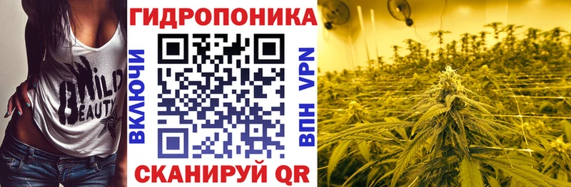 Купить где  Армавир  Конопля AK-47 